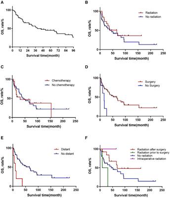 Radiotherapy and surgery remain effective treatment options for retroperitoneal MPNST: a retrospective study based on SEER database